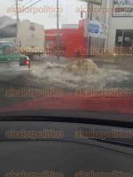 Xalapa, Ver., 29 de agosto de 2016.- Debido a la intensa lluvia de este lunes, el agua comenz a brotar de las alcantarillas en el encuentro de las avenidas Lzaro Crdenas y Chedraui Caram, debajo del puente.