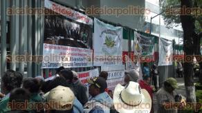 
Ciudad de Mxico, 26 de Septiembre de 2016.- Cientos de campesinos de diversas organizaciones mantienen un plantn afuera de la Sagarpa en las oficinas centrales. La delegacin de Veracruz se une para exigir recursos al campo.