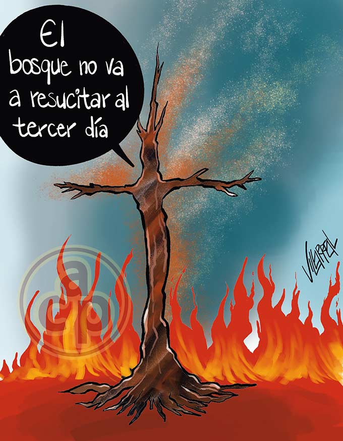 Cartón de Villarreal - Cofre de Perote