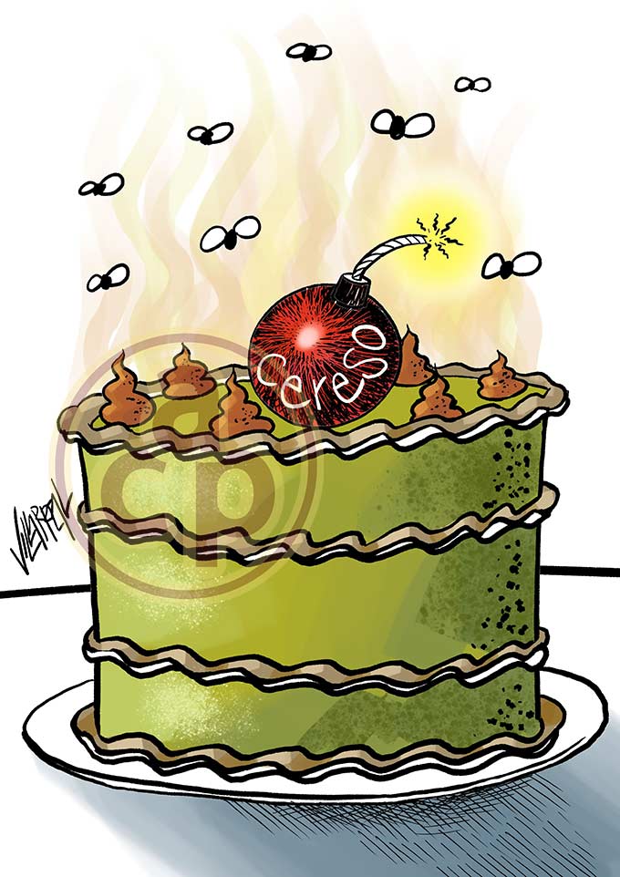 Cartón de Villarreal - Cereso del pastel