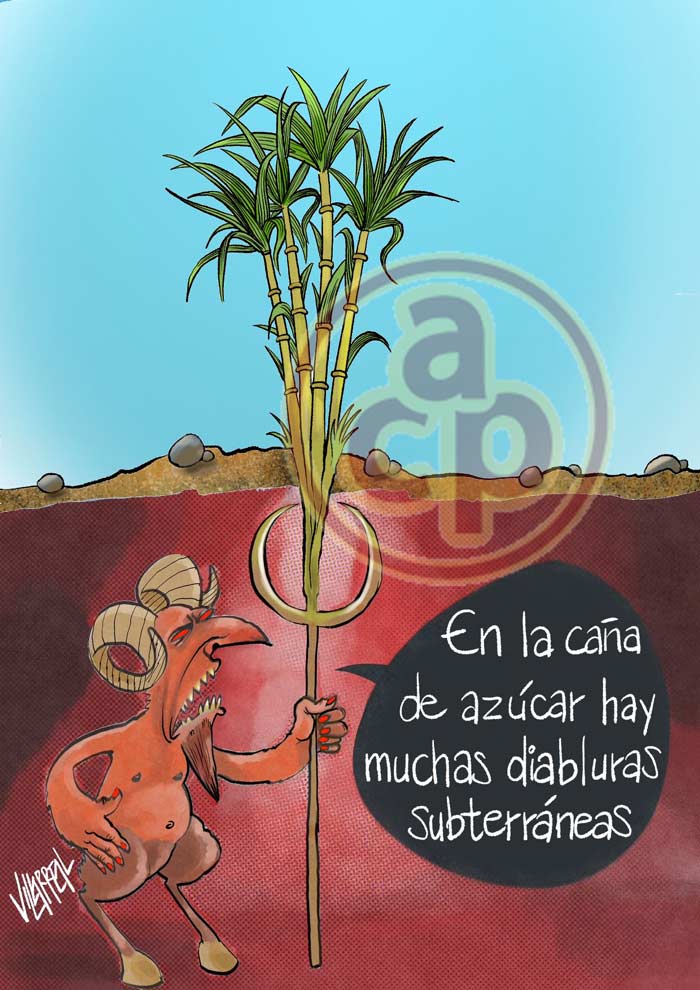 Cartón de Villarreal - La caña de azúcar