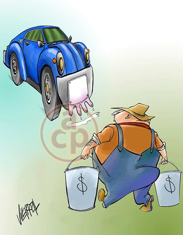 Cartón de Villarreal - Ordeña