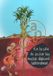 Cartón de Villarreal -  La ca�a de az�car