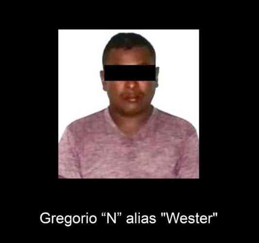 "El Wester", responsable de la muerte de dos menores en Amatlán - Vimarsana News