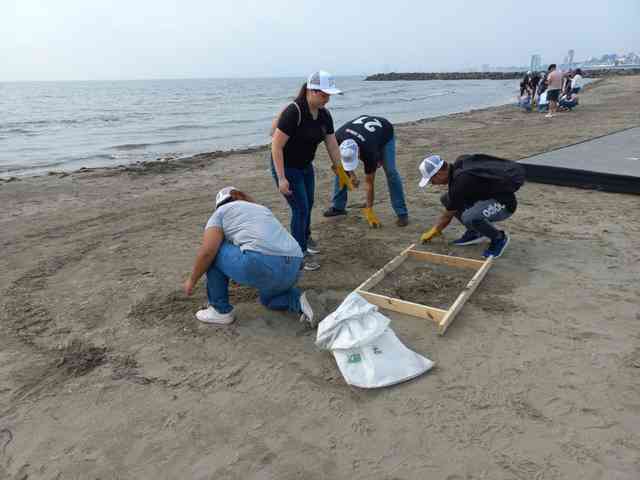 Retiraron más de 6 toneladas de residuos en playas de Veracruz - Al ...
