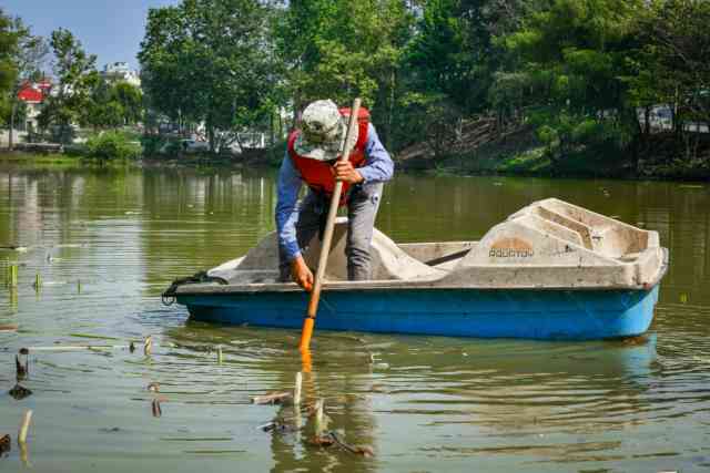 Ayuntamiento de Xalapa por fin se puso a limpiar la laguna de Casa ...