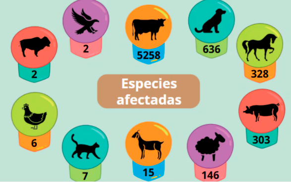 Especies afectadas por gusano barrenador en la frontera sur del país