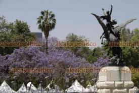 Ciudad de México, 22 de marzo de 2023.- Los árboles de jacarandas adornan las principales calles de la Capital con la inicio de la primavera.
