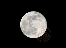 Xalapa, Ver., 5 de noviembre de 2025.- La noche de este miércoles, la Superluna del Castor alumbró el cielo nocturno, en la capital del estado.
