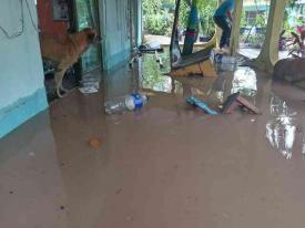 Jáltipan, Ver., 10 de noviembre de 2025.- La intensa lluvia de este lunes inundó diversos puntos de Jáltipan. ?Sorprendió a quienes viven cerca del arroyo, nunca había subido a ese nivel, en 30 minutos perdieron todo?, se informó por redes. Han sido reportadas al menos 5 viviendas afectadas.