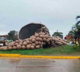 Alamo, Ver., 16 de diciembre de 2025.- Este martes, el emblem�tico Monumento al Colotero que estaba en la entrada a esta ciudad se desplom�. Hasta el momento se desconocen las causas.