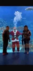 Veracruz, Ver., 19 de diciembre de 2025.- Santa Claus lleg� al Aquarium de Veracruz y se sumergi� en la pecera oce�nica este viernes. Los asistentes pudieron fotografiarse con Papa Noel en su versi�n de buzo, actividad que ya es tradici�n en estas fechas en el acuario. El s�bado har� otra sumersi�n.