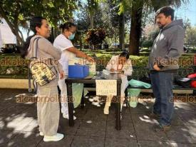 Xalapa, Ver., 20 de diciembre de 2025.- Este s�bado y domingo, desde las 9 de la ma�ana estar�n aplicando s�lo la vacuna de la influenza en m�dulo ubicado en el parque Ju�rez.