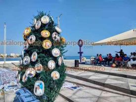 Veracruz, Ver., 20 de diciembre de 2026.- En la Plaza de la Soberan�a familias colocaron en el ?�rbol de la Ausencia? m�s de 60 esferas con fotos de desaparecidos, mientras que en el suelo extendieron lonas con las fichas de b�squeda.