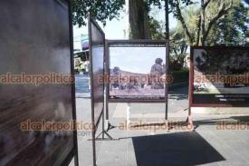 Xalapa, Ver., 6 de enero de 2026.- En el parque Ju�rez, elementos del Ej�rcito Mexicano montaron una exposici�n con equipo t�ctico, de emergencias y un binomio que, gracias a su olfato, detecta zonas o art�culos con drogas.