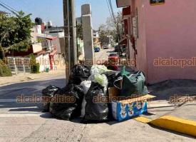 Xalapa, Ver., 8 de enero de 2026.- En distintas calles de la ciudad, se observa basura acumulada.

