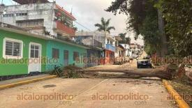 Xalapa, Ver., 10 de enero de 2026.- La tarde de este s�bado se comienzan a sentir los estragos del Frente Fr�o 27, por el fuerte viento cayeron dos �rboles en la calle F�lix Z. Licona, colonia Rafael Lucio.