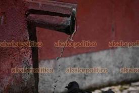 Xalapa, Ver., 19 de febrero de 2026.- Estudio difundido por la Red del Agua de la UNAM detect� E. coli en 7 de 10 manantiales analizados en la Capital.