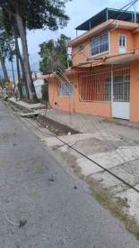 Xalapa, Ver., 23 de febrero de 2026.- En la avenida Fernando Guti�rrez Barrios, colonia Luz de Barrio, cay� �rbol de gran tama�o que da�� varios postes del tendido el�ctrico y de otros servicios varios, afectando gran parte de la colonia y escuelas. Al d�a de hoy s�lo se ha retirado el �rbol pero no ha acudido personal de CFE a reestablecer el suministro de energ�a pese a gravedad de los da�os.