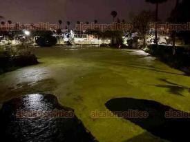 Xalapa, Ver., 24 de febrero de 2026.- Nuevamente el lago de Las �nimas se observa contaminado y hasta con un pato cubierto con cal.