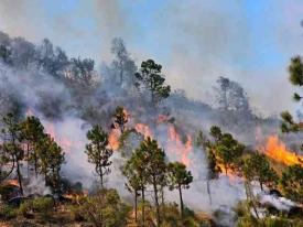 Calcahualco, Ver., 27 de febrero de 2026.- Incendio forestal que inici� en el paraje Los Puentesillos, en Nuevo Jacal, en el Parque Nacional Pico de Orizaba, permanece fuera de control desde el pasado mi�rcoles; seg�n pobladores, avanza r�pidamente y ya se extendi� hasta la zona de Vaquer�a. Brigadas de los tres niveles de Gobierno lo combaten.
