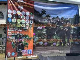 Xalapa, Ver., 28 de febrero de 2026.- En la Casa del Lago se instal� la expoventa ?Dealer?s Cactus y Suculentas?, donde tambi�n se ofertan orqu�deas, plantas carn�voras, de sombras y otras especies. Estar� hasta las 19:00 horas.