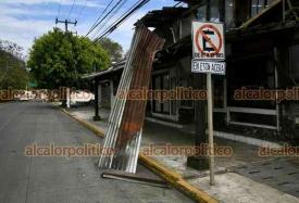 Xalapa, Ver., 16 de marzo de 2026.- �rbol cay� por los fuertes vientos en la avenida Xalapa, casi esquina con Orizaba.