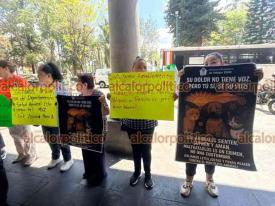 Xalapa, Ver., 27 de marzo de 2026.- Autoridades municipales cobran m�s de mil pesos por atender perros en situaci�n de calle, adem�s de 400 pesos por esterilizaci�n, reprochan activistas.
