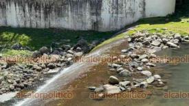 Quimixtl�n, Pue. Ver., 3 de abril de 2026.- Personal de la CMAS Xalapa supervis� la presa ?Los Colibr�es?, la cual capta el agua del r�o Huitzilapan y pasa por tanques sedimentadores para un primer tratamiento antes de ser enviada a Xalapa.