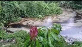 Poza Rica, Ver., 14 de abril de 2026.- Por redes se alert� de un derrame de hidrocarburo en arroyos de Coatzintla y Poza Rica.