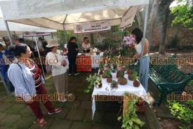 Xalapa, Ver., 18 de abril de 2026.- Autoridades municipales inauguraron el ?Mercado Bicentenario? en el parque hom�nimo, ubicado en la avenida Manuel �vila Camacho. Estar� hasta este domingo 19 de abril.