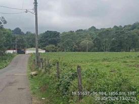 Tlalnelhuayocan, Ver., 20 de abril de 2026.- Sembrad�o de papa frente a la Escuela Primaria ?Adolfo L�pez Mateos?, en El Naranjo. El plantel permanece cerrado desde hace 3 a�os debido a intoxicaciones en estudiantes y docentes por el uso de plaguicidas tan cerca de ellos.