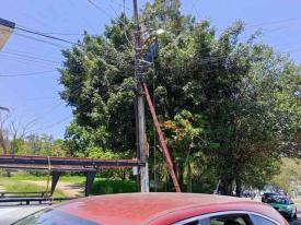 Xalapa, Ver., 28 de abril de 2026.- Tras un reclamo ciudadano, y tras meses de no funcionar, fue reparada la luminaria ubicada frente a la parada de la primera secci�n de la unidad de Lomas Verdes.
