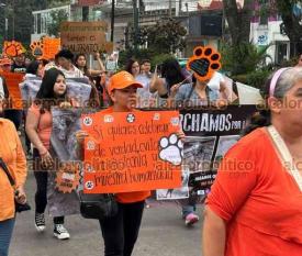Xalapa, Ver., 8 de mayo de 2026.- Activistas marcharon la tarde de este viernes por la avenida �vila Camacho rumbo al Centro para exigir que el Gobierno castigue el maltrato animal.
