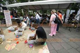 Xalapa, Ver., 17 de mayo de 2026.- En el marco del D�a Internacional de los Museos, ?Los Cuates del MAX? llevaron algunas piezas del Museo de Antropolog�a al parque de Los Berros y organizaron actividades did�cticas dirigidas a ni�as y ni�os.
