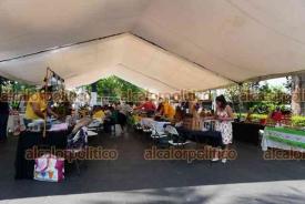Xalapa, Ver., 20 de mayo de 2026.- Por el D�a Mundial de las Abejas, en el Parque Ju�rez apicultores ofrecen diversos productos eleborados con miel y polen de abejas meliponas. Estar�n s�lo este mi�rcoles.
