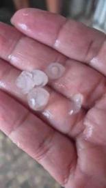 Xalapa, Ver., 21 de mayo de 2026.- Xalape�os reportaron la ca�da de granizo con la lluvia de esta tarde.
