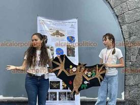 Xalapa, Ver., 23 de mayo de 2026.- Alejandro Castro y Rosa Mar�a Gonz�lez impartieron el taller de ciencia ?Los murci�lagos: nuestros vecinos nocturnos?, en la Sala FILU Infantil/Juvenil de Casa del Lago.
