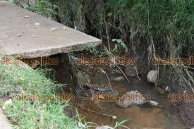 Xalapa, Ver., 25 de mayo de 2026.- Acerca del socav�n en el bulevar Yanga, residente de Las Fuentes considera que el arroyo de la zona est� tomando su cauce natural, el cual se vio interferido por la construcci�n del fraccionamiento.
