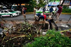 Xalapa, Ver., 4 de junio de 2026.- Cuadrilla de CMAS trabaja en una excavaci�n hecha en la calle Encanto, por lo que se pide circular con precauci�n en la zona.
