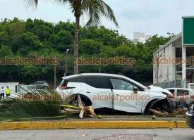 Boca del R�o, Ver., 5 de junio de 2026.- Menor de edad estrell� camioneta contra palmera en el bulevar Adolfo Ruiz Cortines. Sal�a de la calle Orqu�dea para incorporarse al bulevar y termin� estampado en medio del camell�n. Tr�nsito Municipal atendi� el percance.
