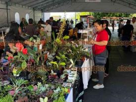 Xalapa, Ver., 12 de junio de 2026.- Este viernes inici� la quinta Expo Diversex con emprendedores de la diversidad sexual que ofertan productos diversos. Se podr� visitar hasta el domingo 14 en el Parque Ju�rez.
