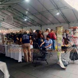 Xalapa, Ver., 13 de junio del 2026.- Continúa la ?Expo Diversidad? en el Parque Juárez, iniciativa de inclusión para emprendedores de la diversidad sexual. Por el cierre de la calle Enríquez por parte de colectivos, se pudo caminar tranquilamente por el Centro de la Capital.