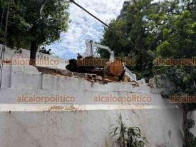 Xalapa, Ver., 14 de junio de 2026.- As� quedaron las afectaciones provocadas por la ca�da de un �rbol detr�s del monumento de Las Virtudes, hecho que gener� la intervenci�n de personal de emergencia para retirar el ejemplar y evitar mayores riesgos.