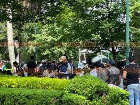 Xalapa, Ver. 14 de junio de 2026.- Chicos y grandes se reunieron en el parque Ju�rez para intercambiar estampas del Mundial.
