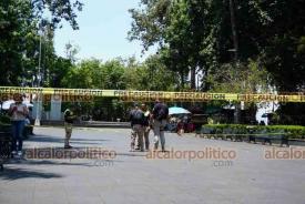 Xalapa, Ver., 18 de junio de 2026.- Se impidi� el paso a la explanada del parque Ju�rez por una rama que est� por caer de una araucaria. Autoridades de Protecci�n Civil esperan que personal de Medio Ambiente realice la poda.

