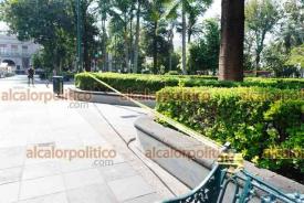 Xalapa, Ver., 19 de junio de 2026.- Este viernes continúa acordonada una parte del Parque Juárez por el riesgo de que caiga rama de una araucaria.