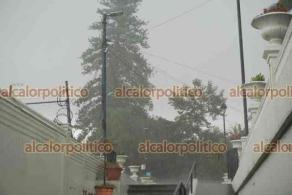Xalapa, Ver., 6 agosto 2026.- Tras días de sol, cerca del mediodía de este jueves llovió en la Capital.
