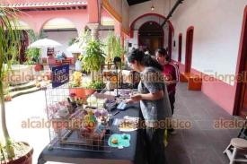 Xalapa, Ver., 8 de agosto de 2026.- En el Centro Recreativo Xalapeño se instaló el bazar “Mano Alzada 2.0”, con diseños, ilustraciones y producción gráfica de estudiantes y egresados de la UDAL. Estará este sábado y domingo de 10:00 a 15:00 horas.
