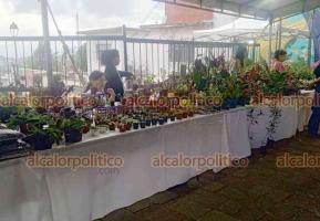 Xalapa, Ver., 16 de agosto del 2026.-Floricultures independientes concluyeron Bazar de Plantas y Flores en parque Morelos, frente a la Escuela Industrial; iniciativa del colectivo Mercado Ornamental Intinerante. Francisco Lujan, coordinador, refirió que planean instalarse una vez al mes si Municipio los respalda.